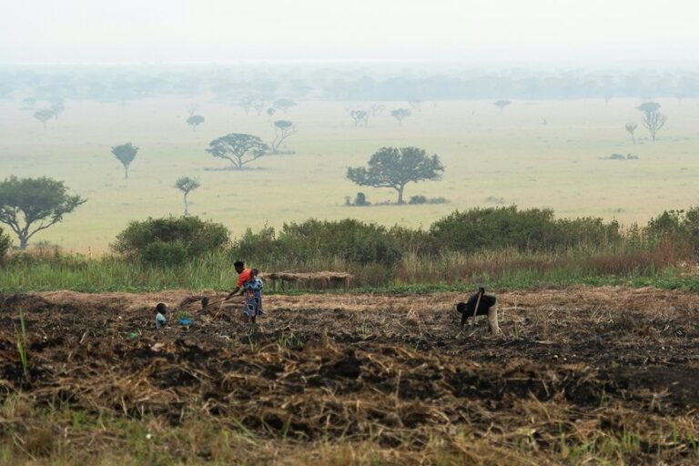 business growth tracking numbers