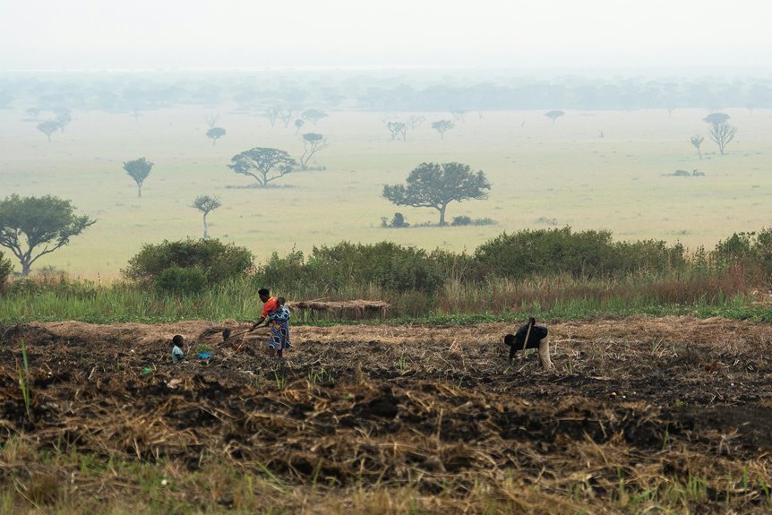 business growth tracking numbers