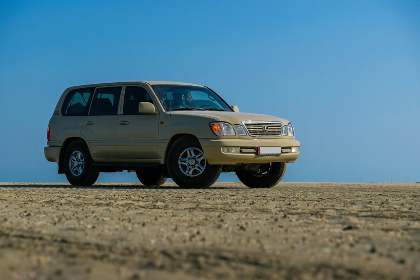 stable digital system 981984551